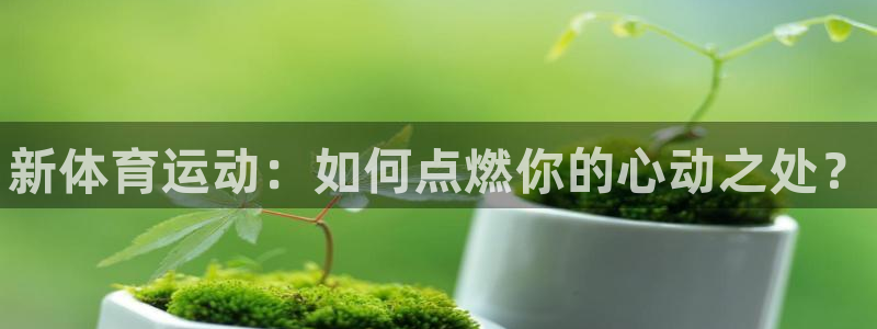 MK体育官方正版app娱乐首页官网下载：新体育运动：