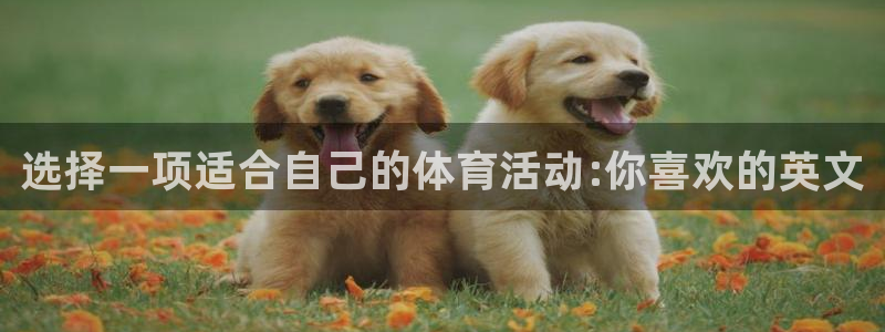 海南MK体育官网下载发展怎么样：选择一项适合自己的体