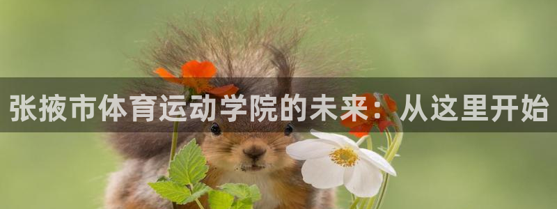 MK体育官方集团官网