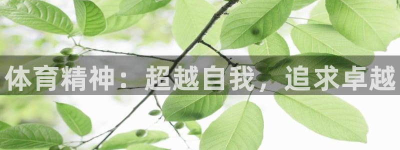 MK体育官网下载注册：体育精神：超越自我，追求卓越