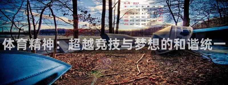 MK体育官方正版app娱乐首页官网下载：体育精神：超