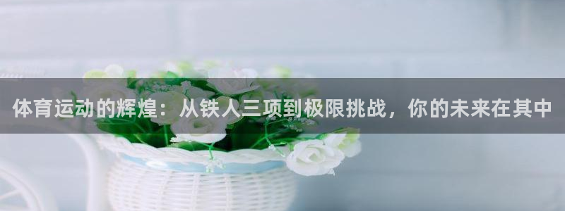 MK体育官网下载平台是正规平台吗安全吗：体育运动的辉煌：从铁
