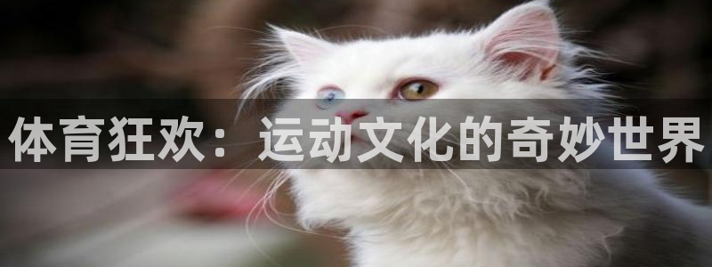 MK体育官网下载平台注册流程视频：体育狂欢：运动文化