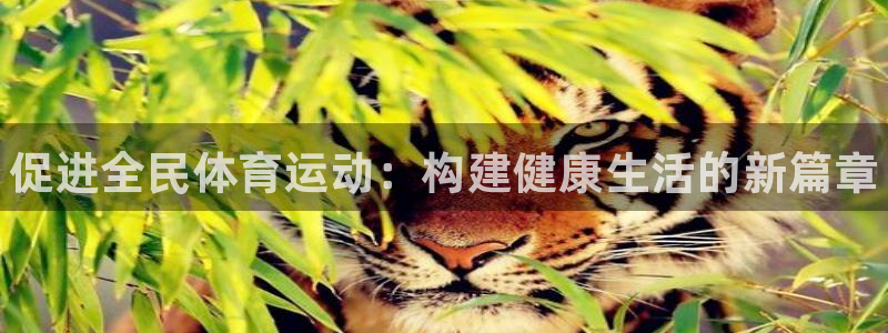 MK体育官网下载招商电话是多少：促进全民体育运动：构建健康生