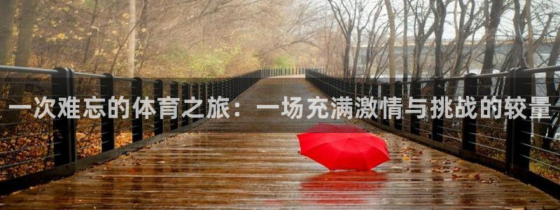 MK体育官网下载平台APP：一次难忘的体育之旅：一场充满激情