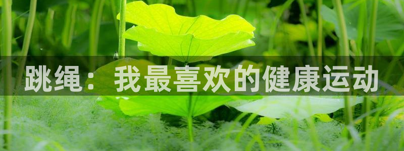 MK体育官网下载是干嘛的公司：跳绳：我最喜欢的健康运动