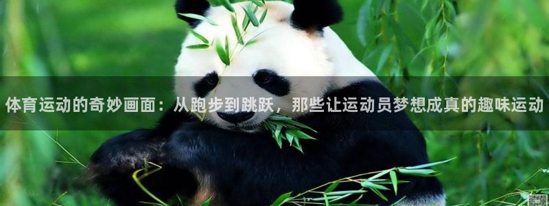 MK体育官方正版app娱乐首页官网下载：体育运动的奇妙画面：