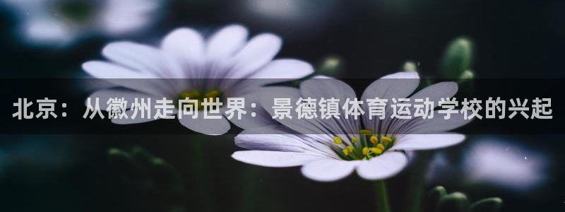 MK体育官方正版app集团简介：北京：从徽州走向世界