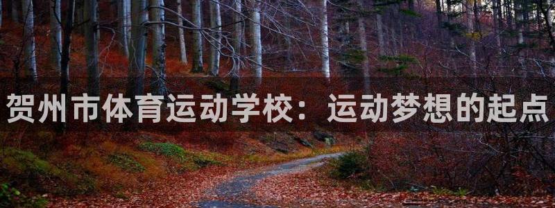 MK体育官方集团官网：贺州市体育运动学校：运动梦想的