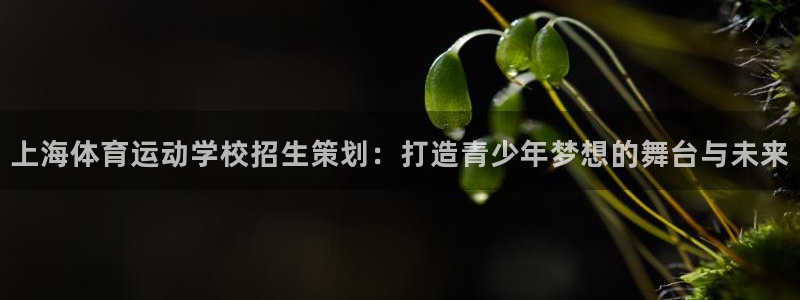 MK体育官方正版app娱乐平台：上海体育运动学校招生