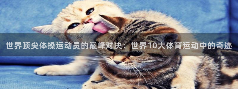 MK体育官网下载平台：世界顶尖体操运动员的巅峰对决：