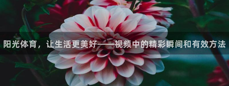 MK体育官网下载招商电话号码是多少啊：阳光体育，让生