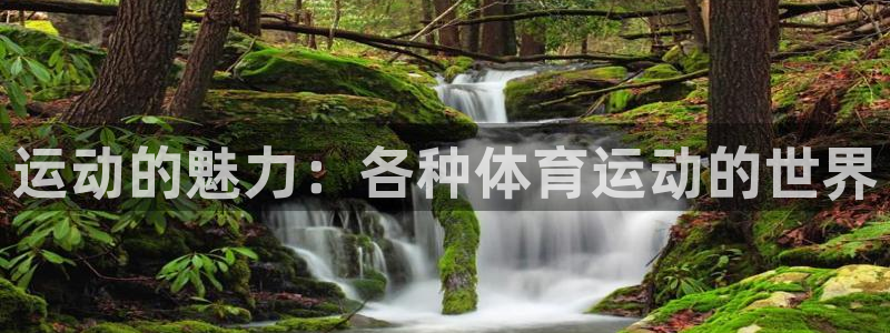 MK体育官网下载招商电话号码：运动的魅力：各种体育运