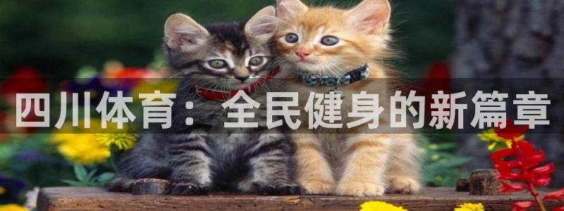 MK体育官方正版app娱乐平台：四川体育：全民健身的新篇章