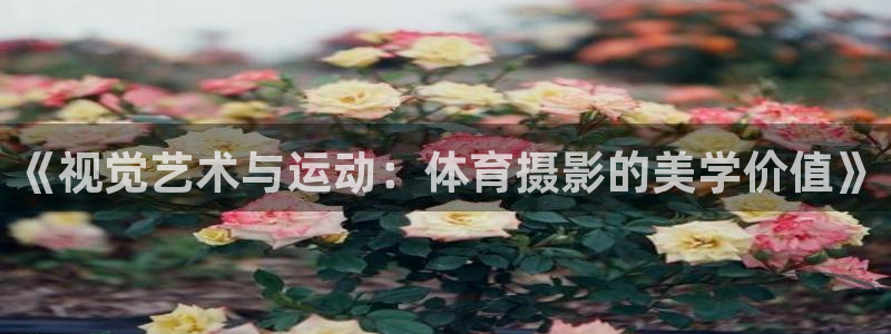 MK体育官方正版app集团：《视觉艺术与运动：体育摄