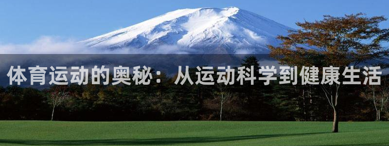 MK体育官方正版app集团官网网址