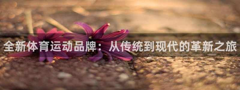 MK体育官网下载招商电话：全新体育运动品牌：从传统到现代的革
