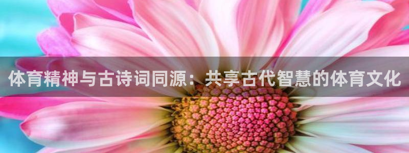 MK体育官方正版app娱乐网站：体育精神与古诗词同源