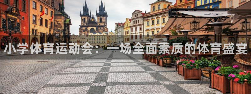 MK体育官网下载平台：小学体育运动会：一场全面素质的体育盛宴